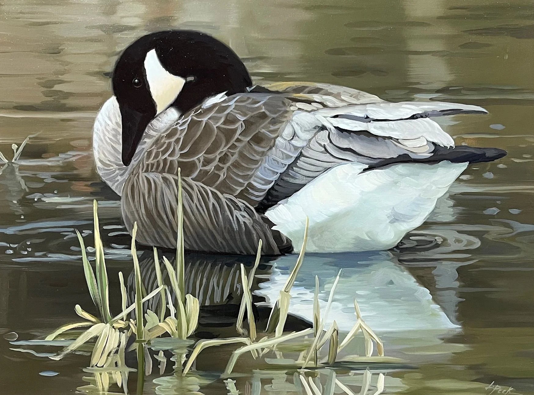 Canada Goose