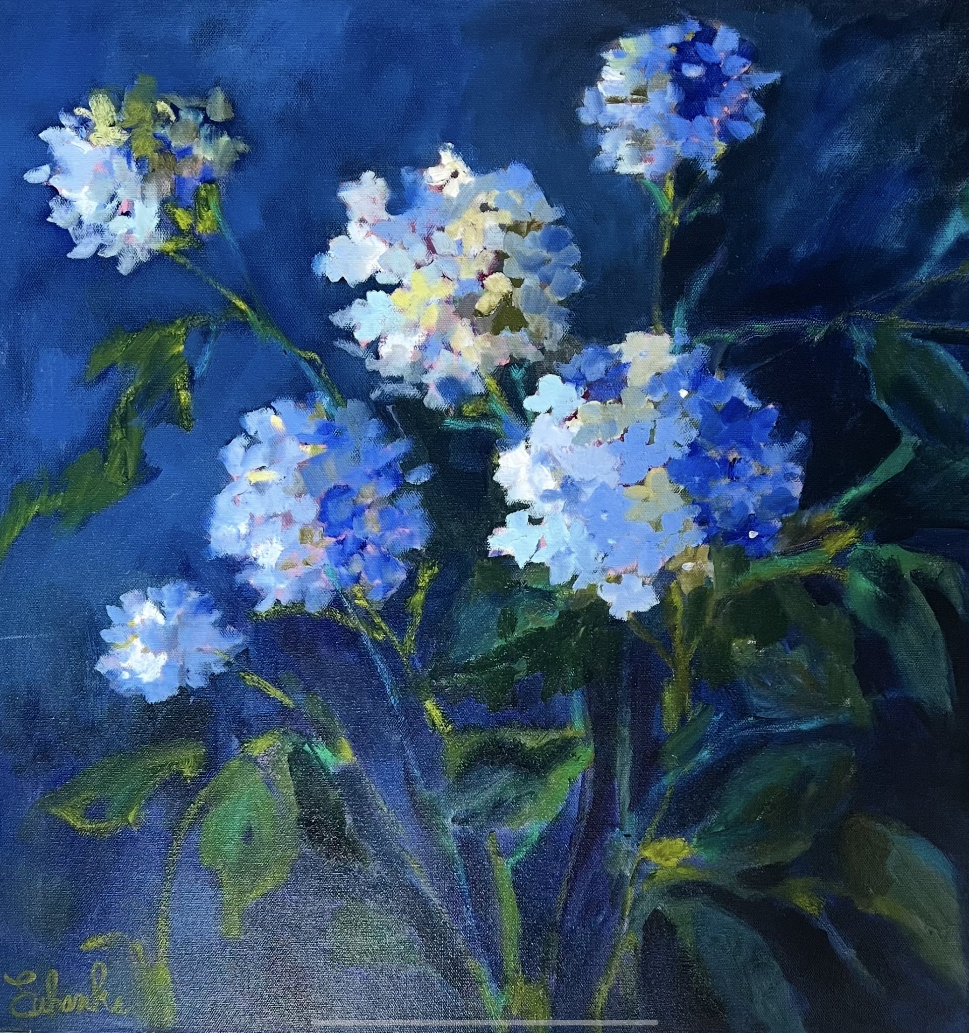 Midnight Blue