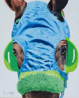 Blue and Green Hood