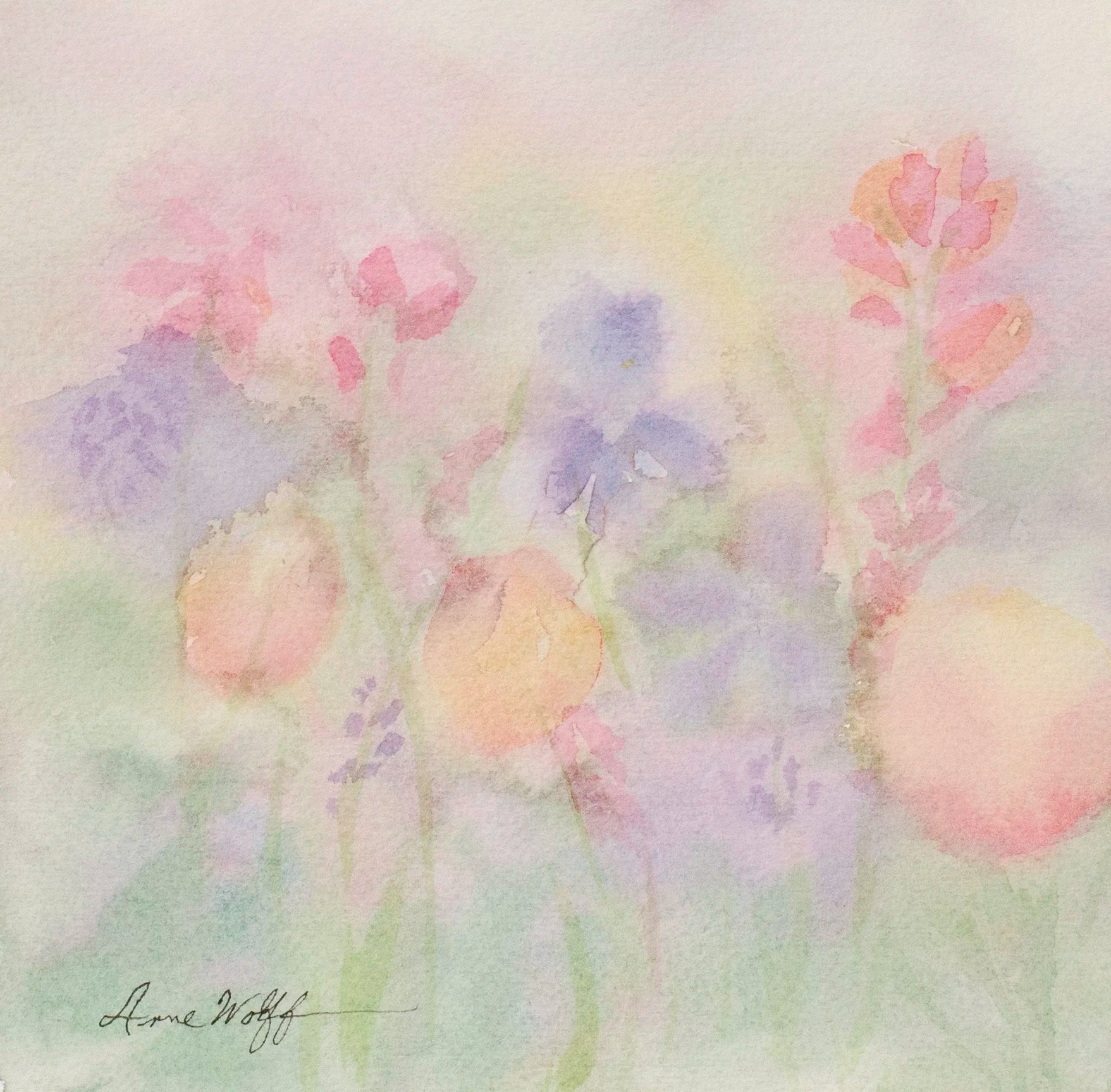Flowers in Mist