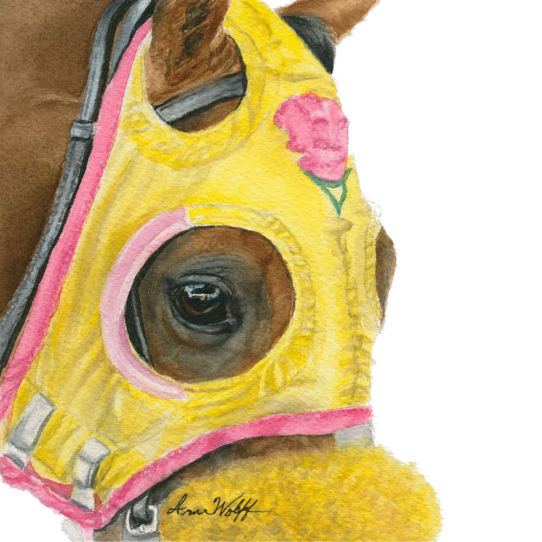 Yellow and Pink Blinkers