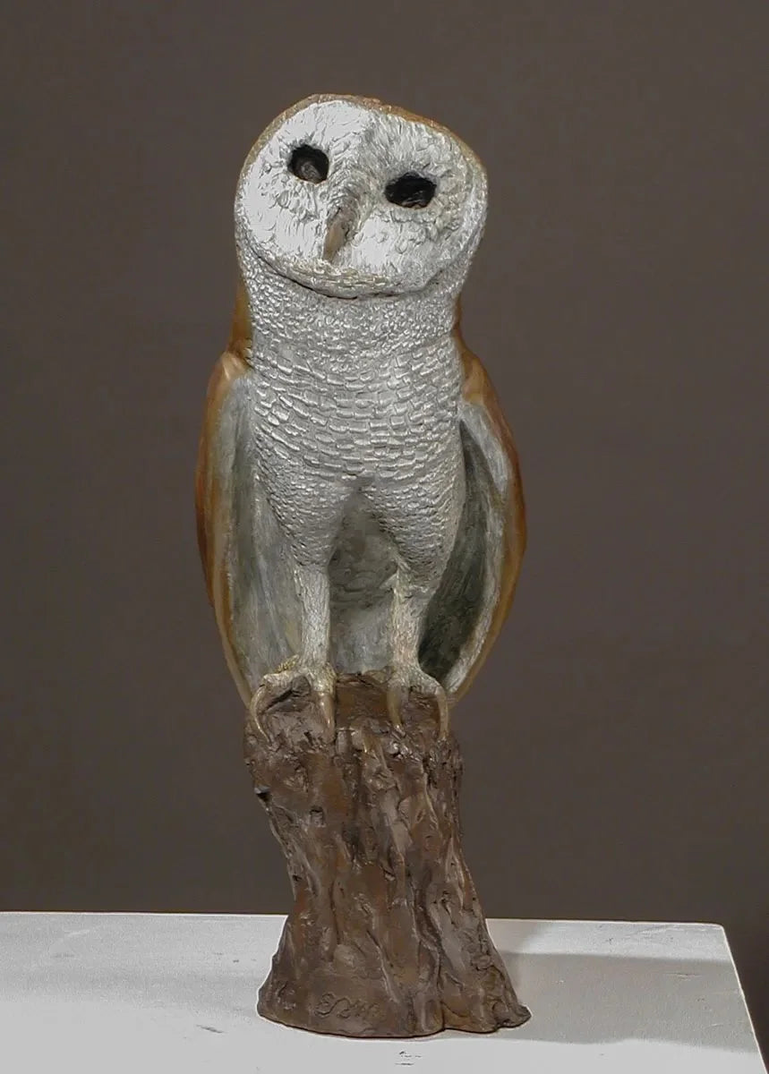 Barn Owl