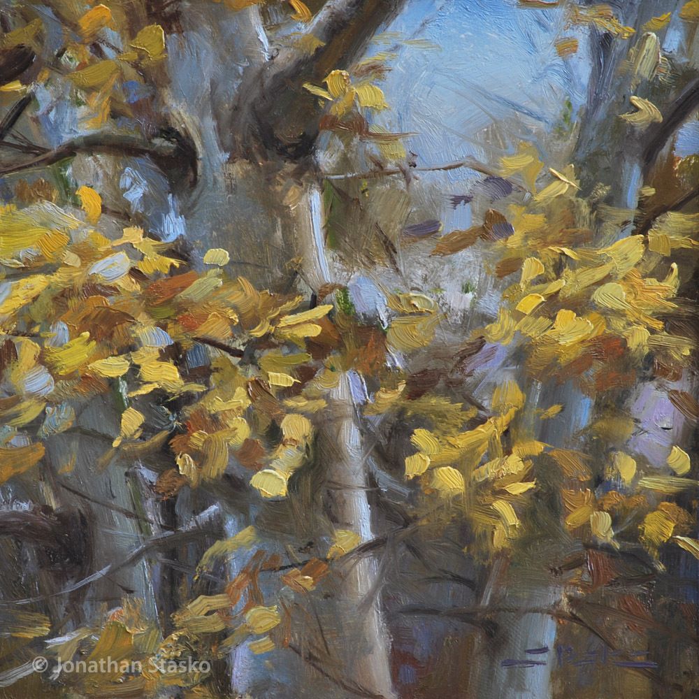Birches