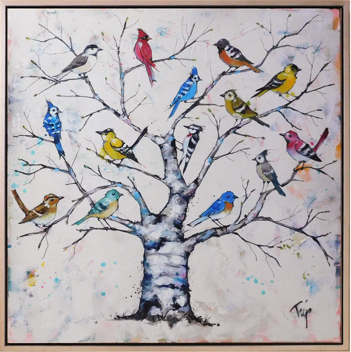 Bird Club