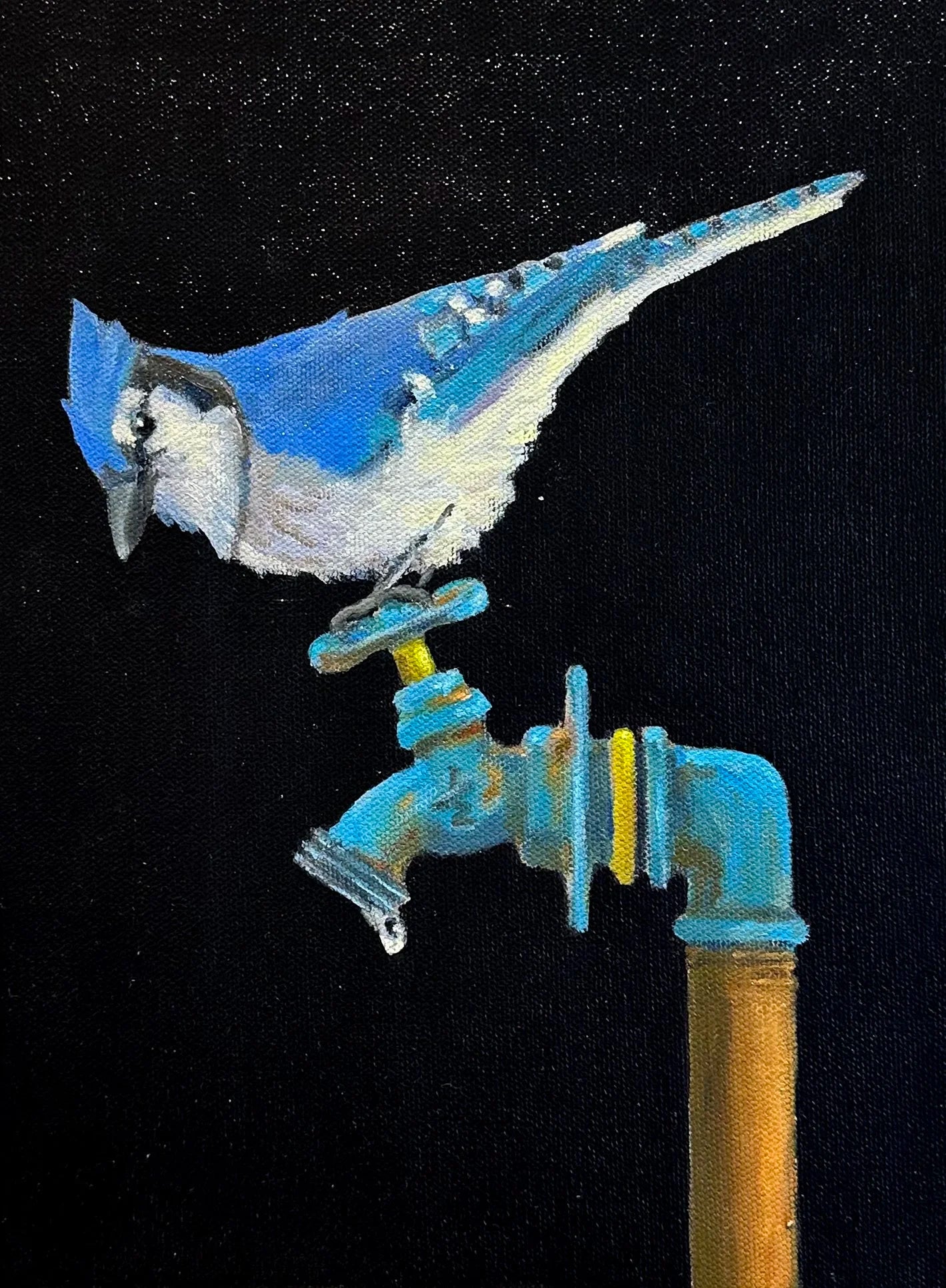 Blue Jay on Spout