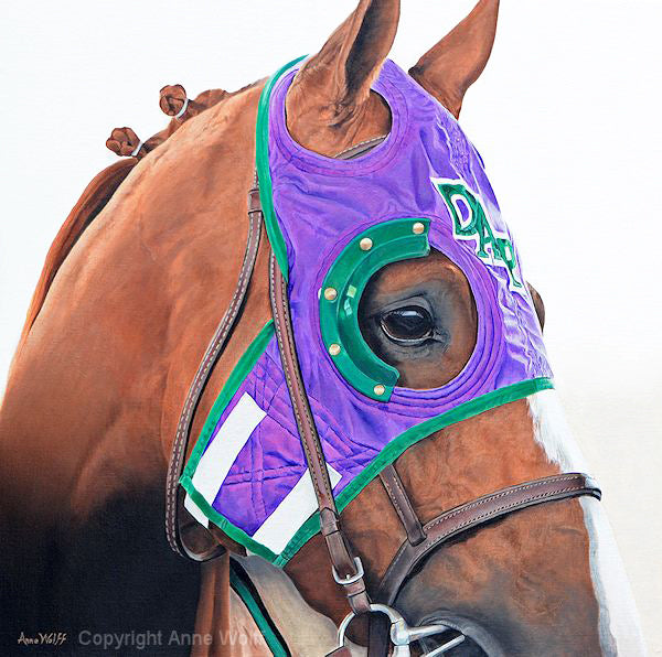 California Chrome