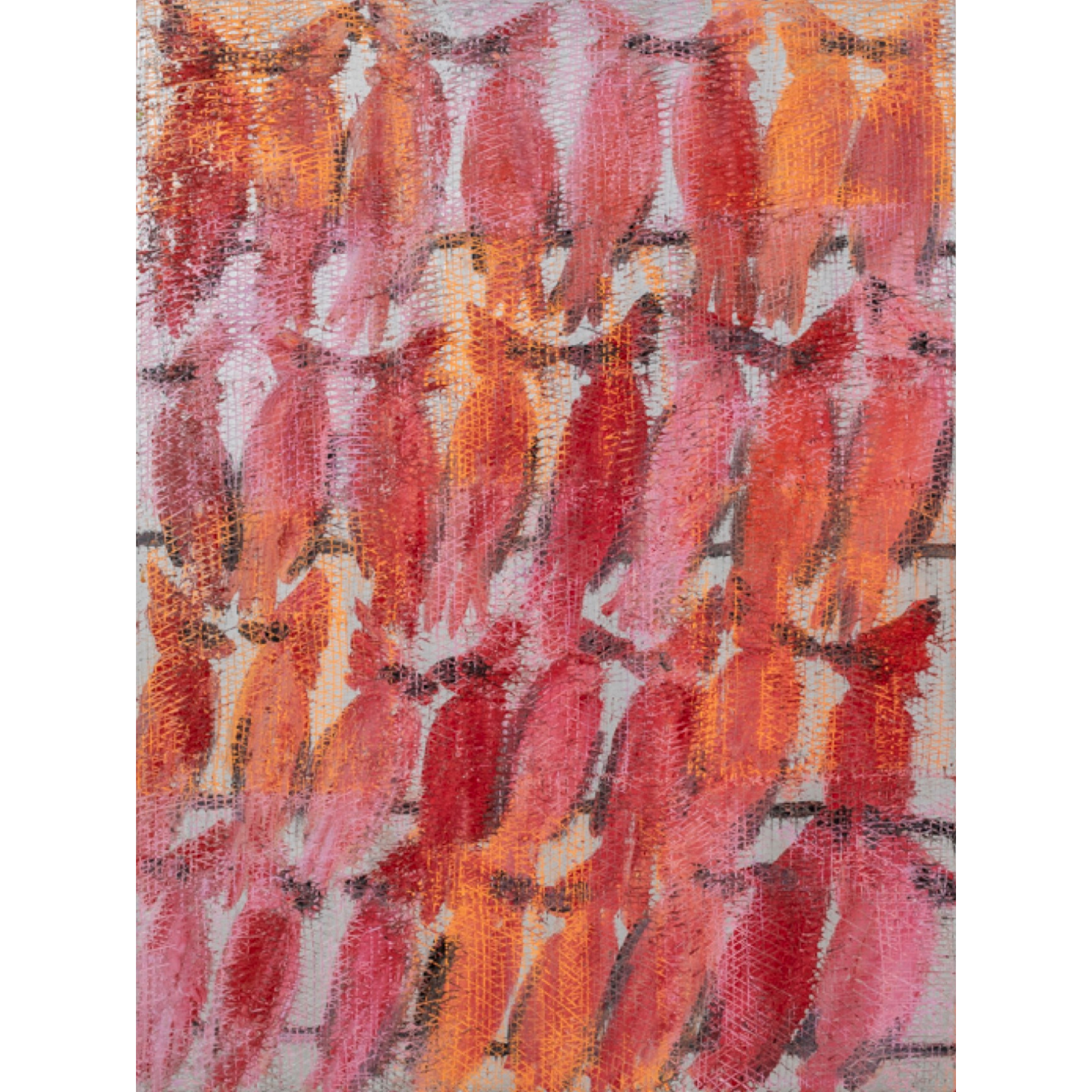 Cardinals