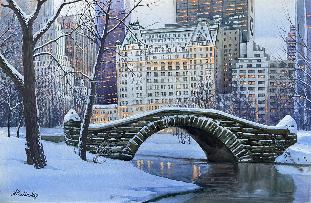 Central Park in Winter