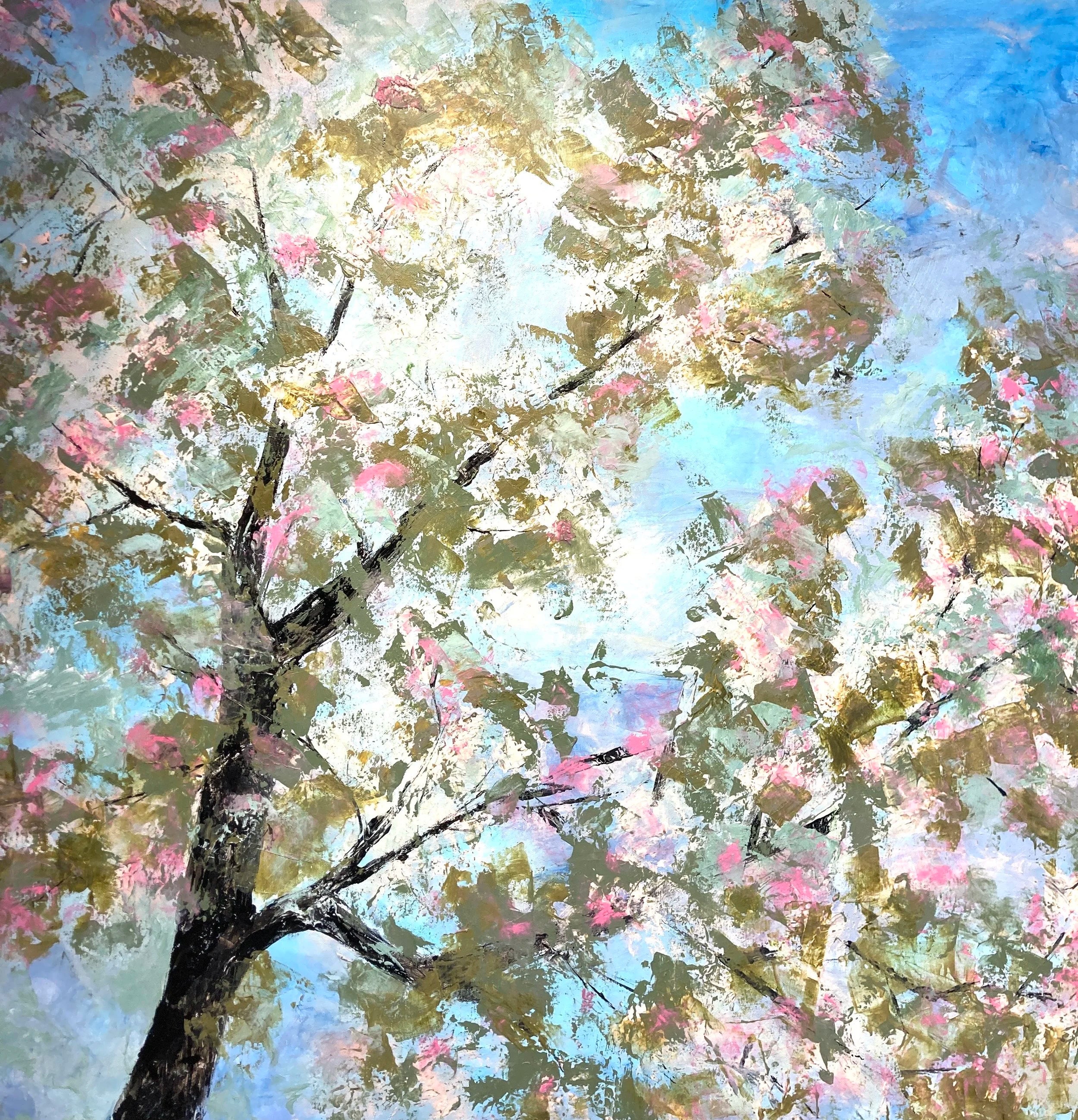 Cherry Blossom