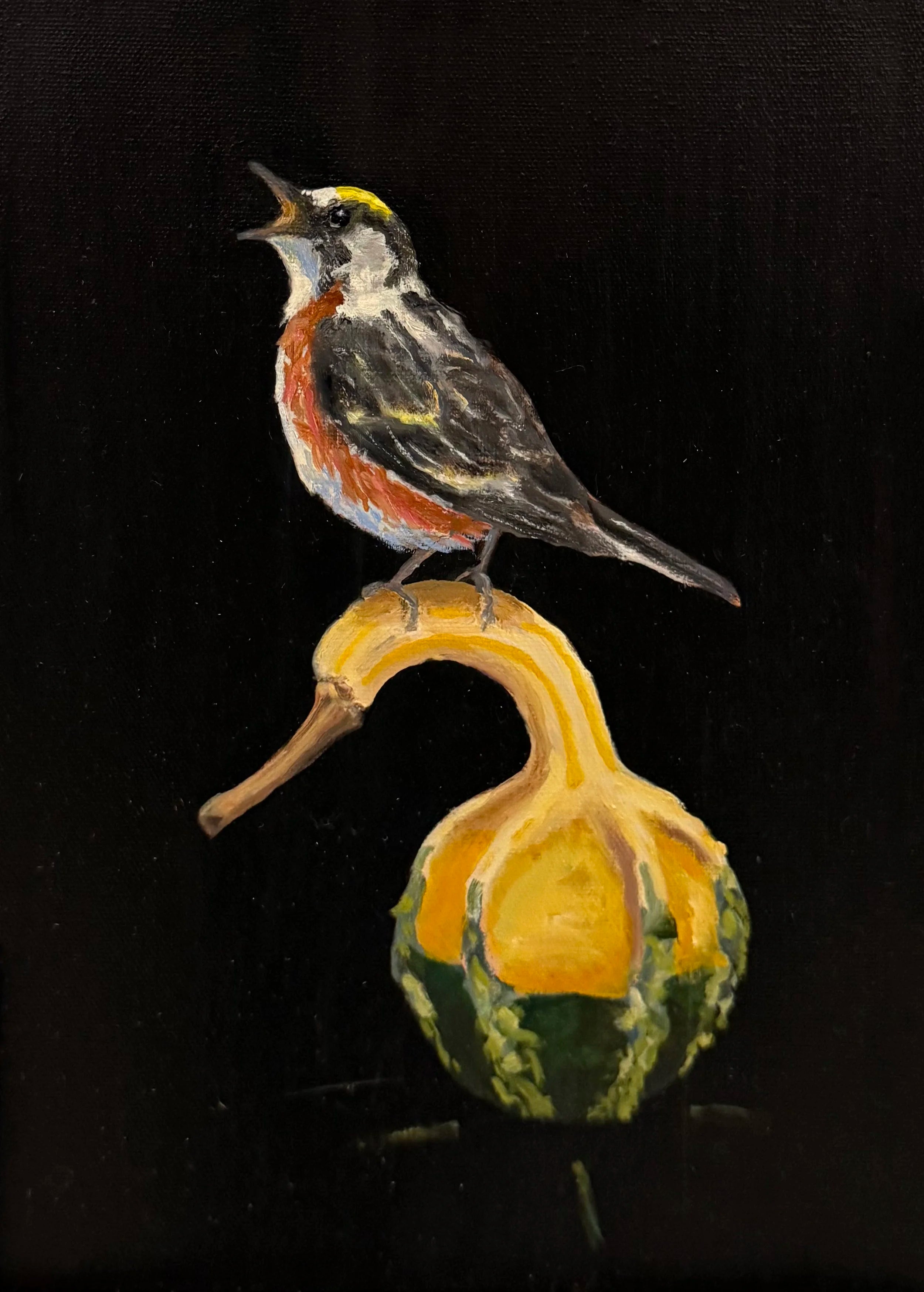 Chestnut Sided Warbler