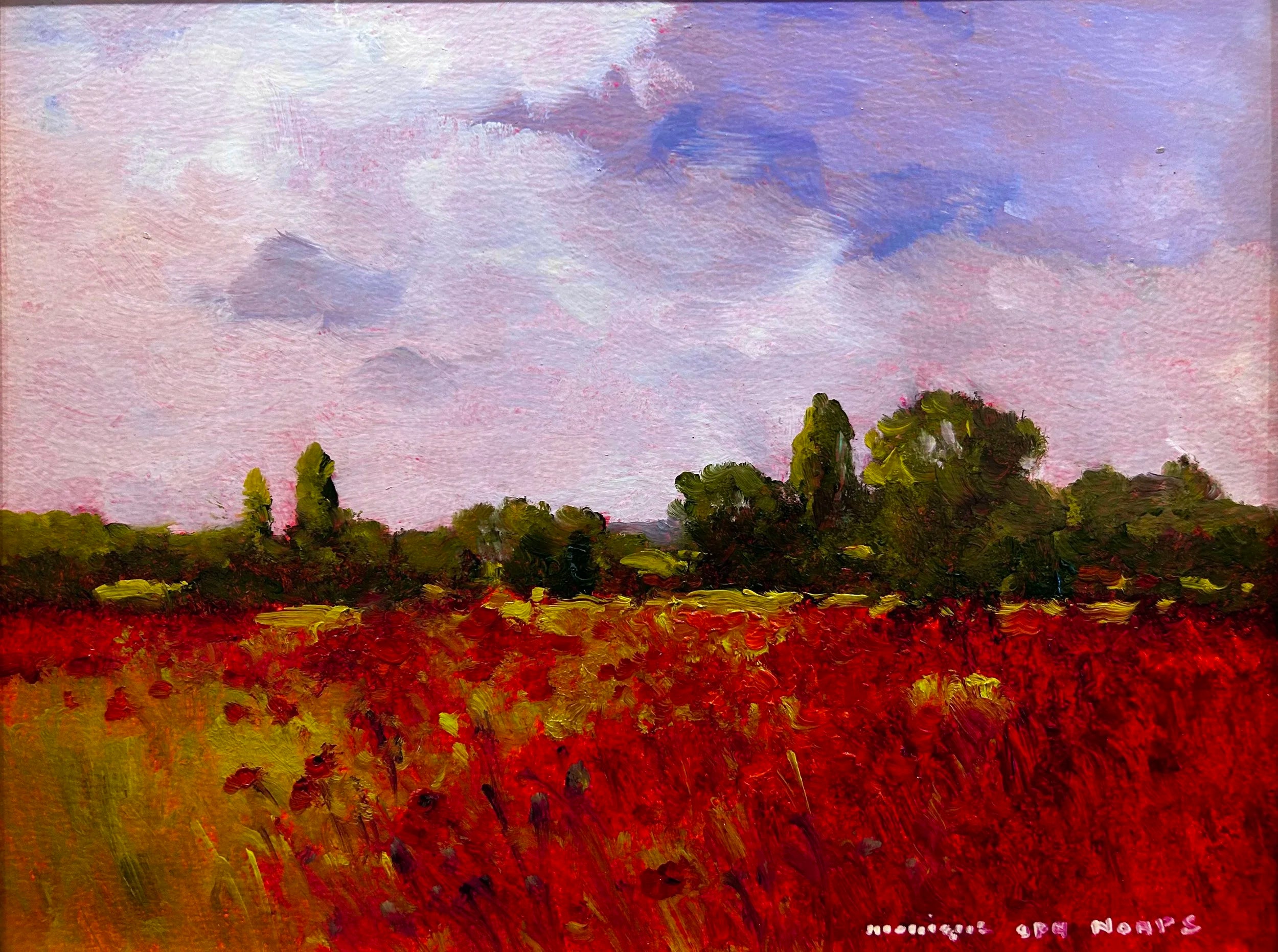 Cloudy Skies and Poppies