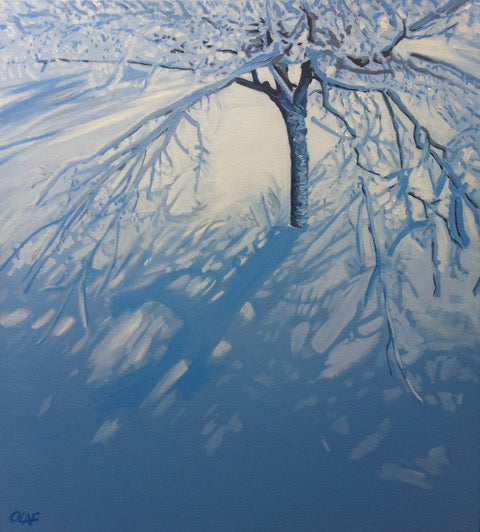 Cool Shadows