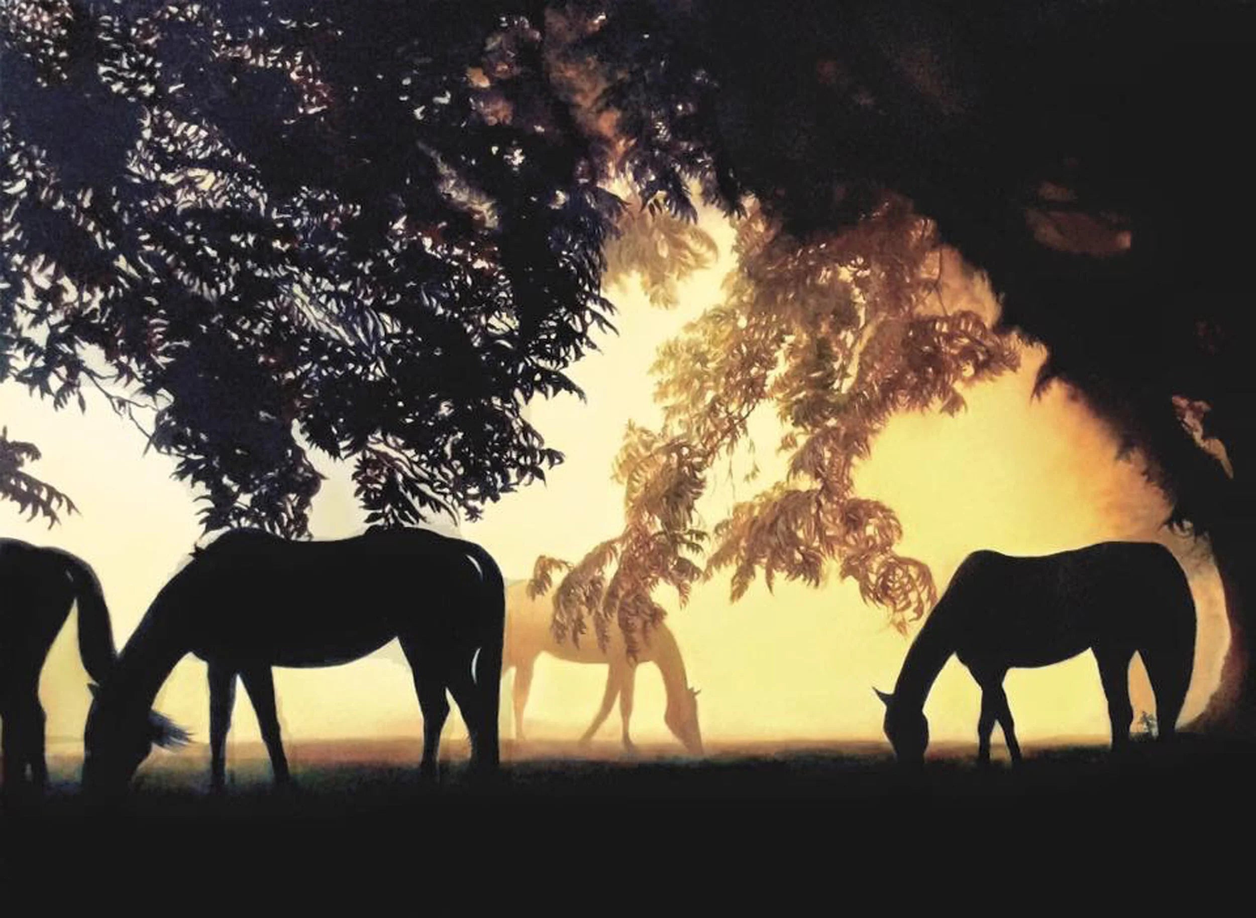 Dawn