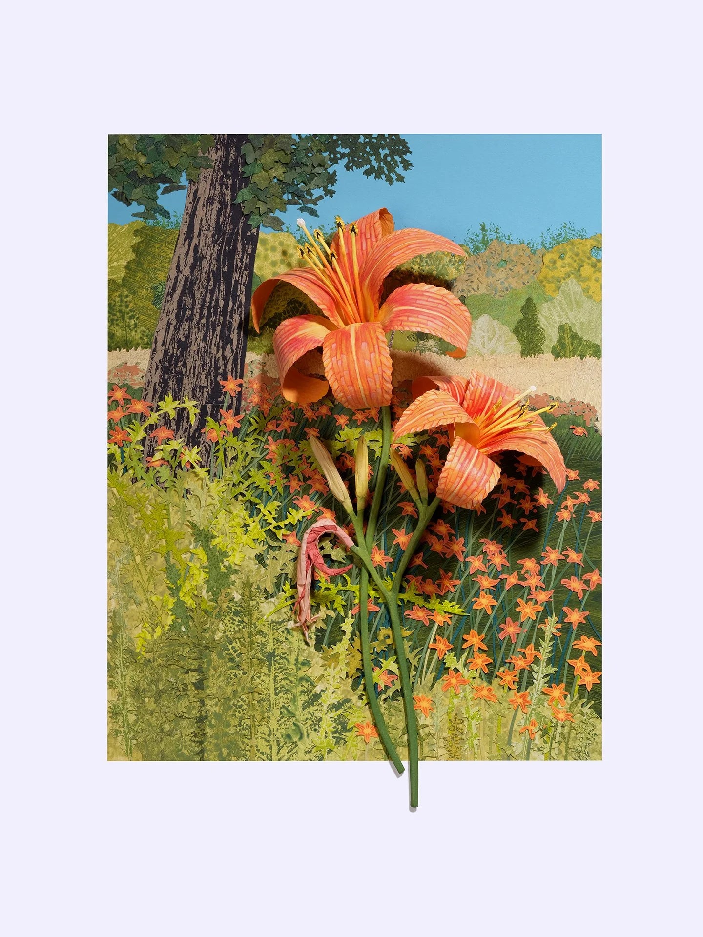 Day Lilies