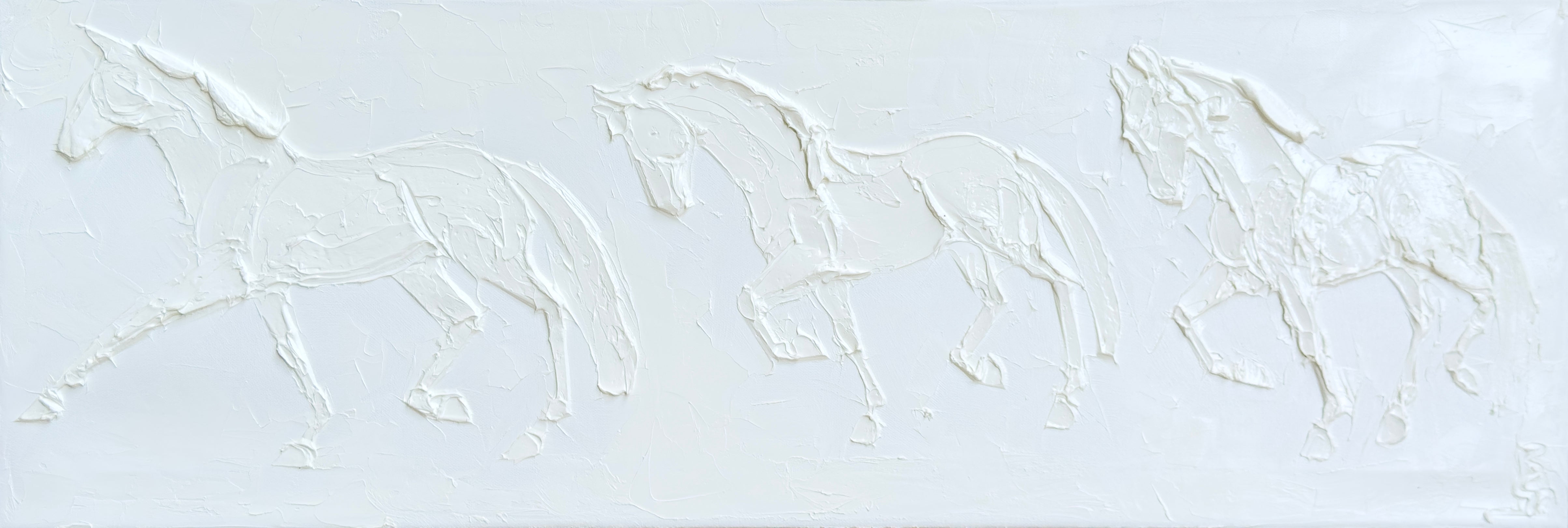 Dressage Horses