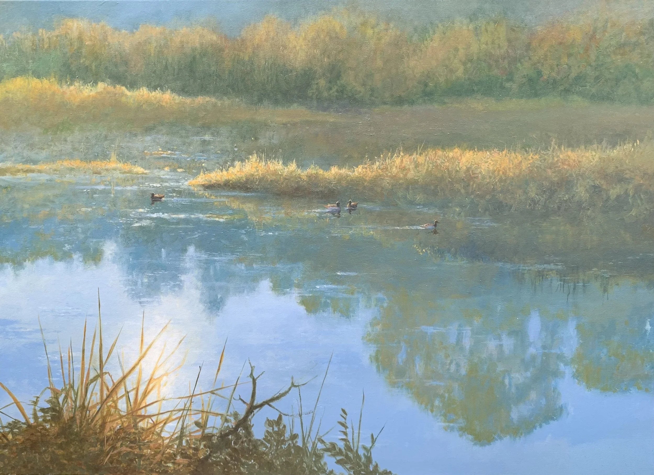 Evening Waters