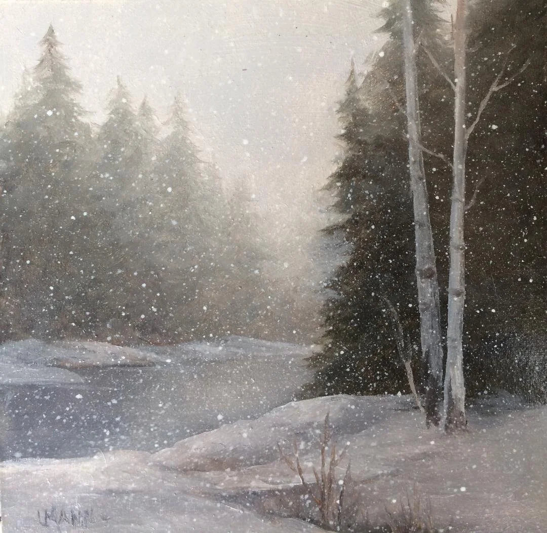 Fog through the Pines