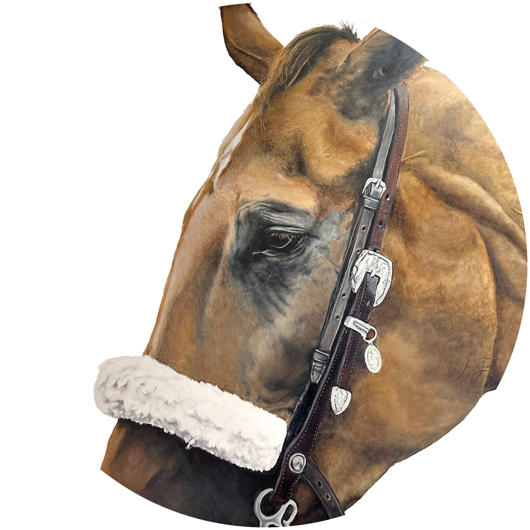 Funnycide