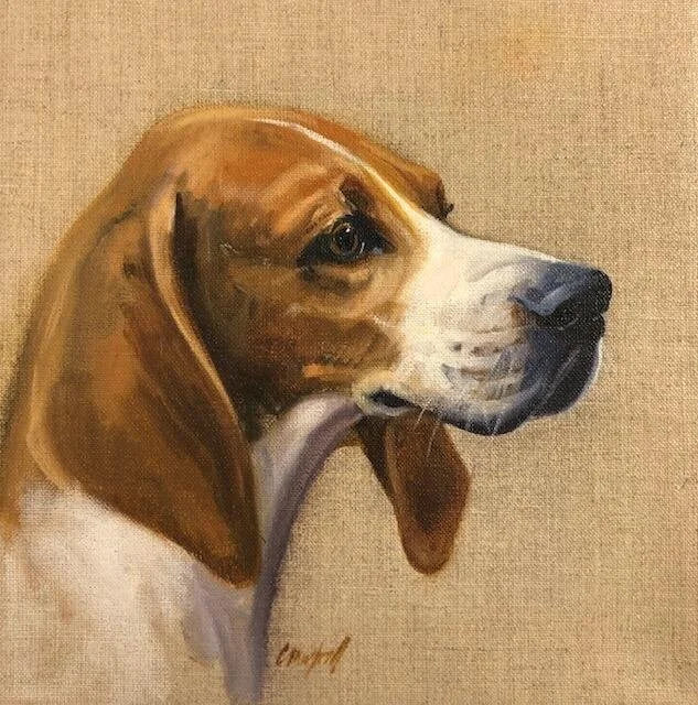 Hound Study