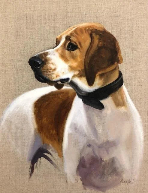 Hound Study