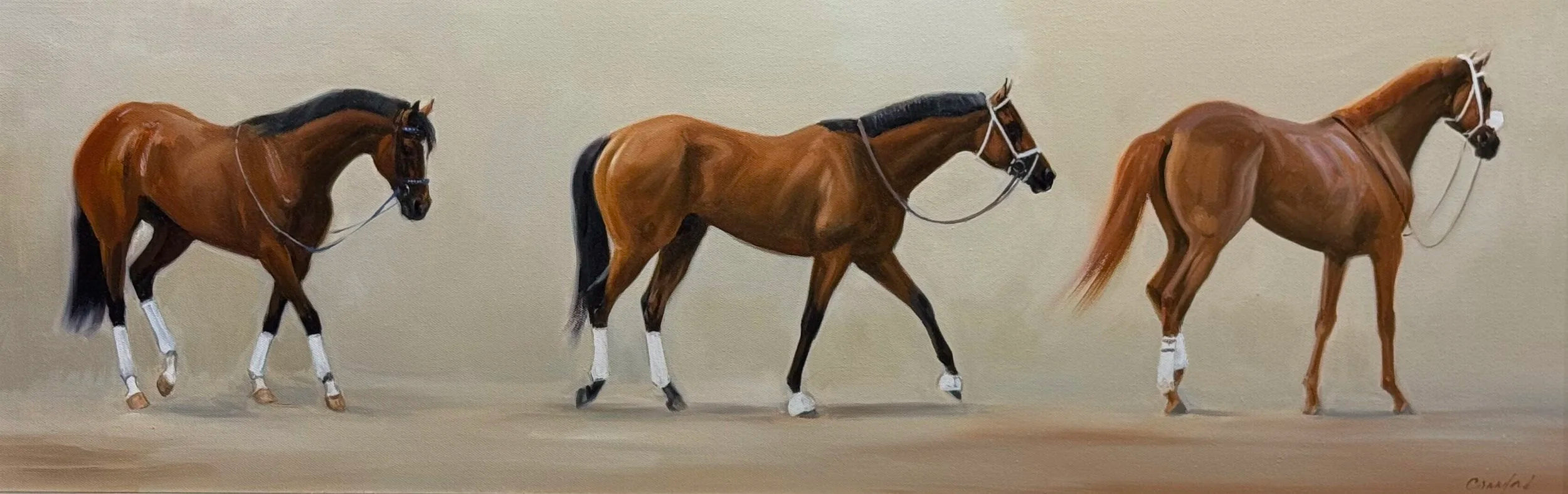 Stride by Stride