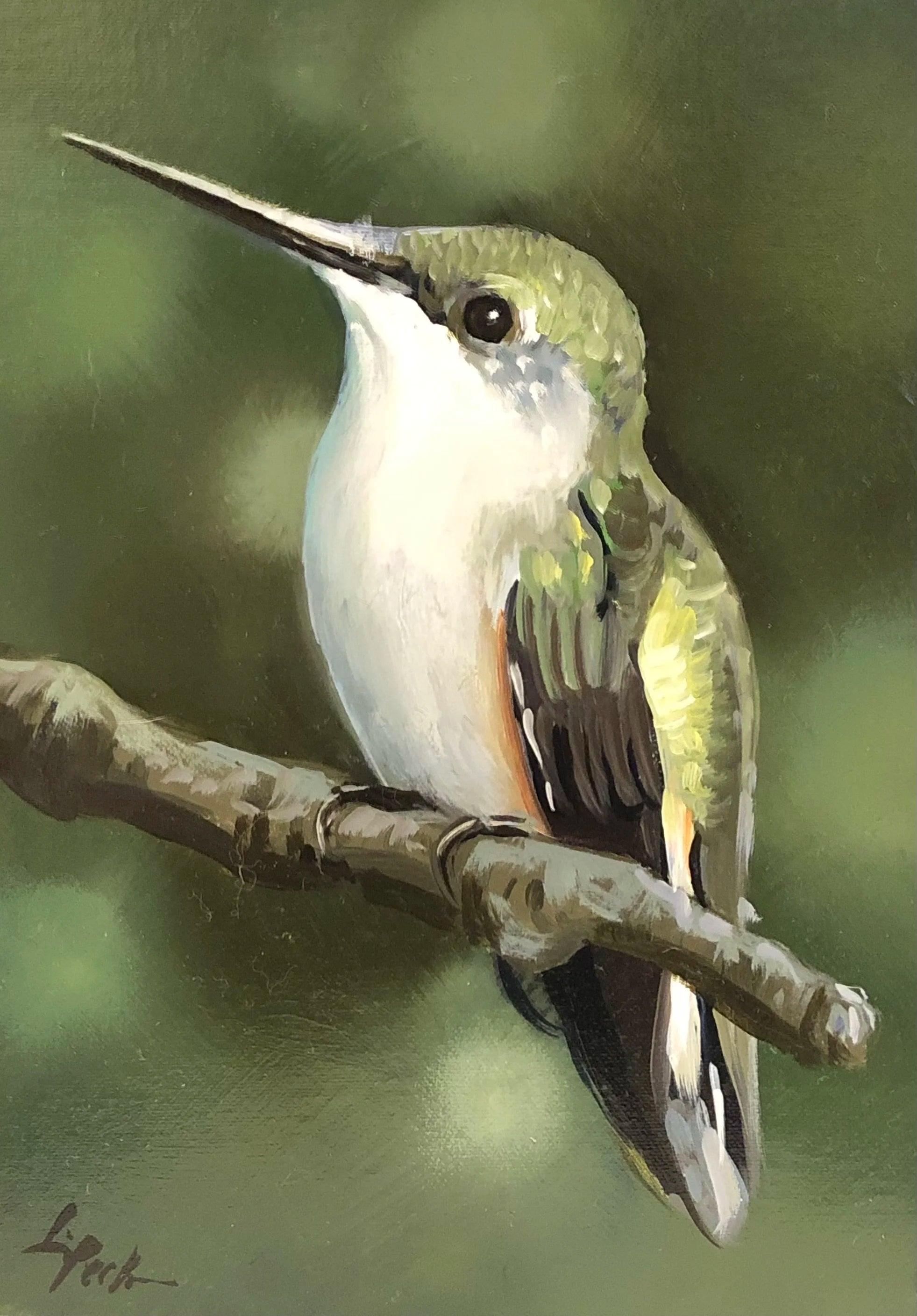 Hummingbird
