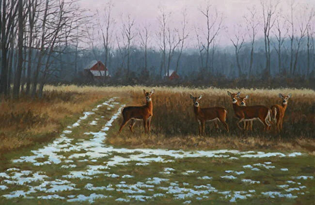 January Dawn