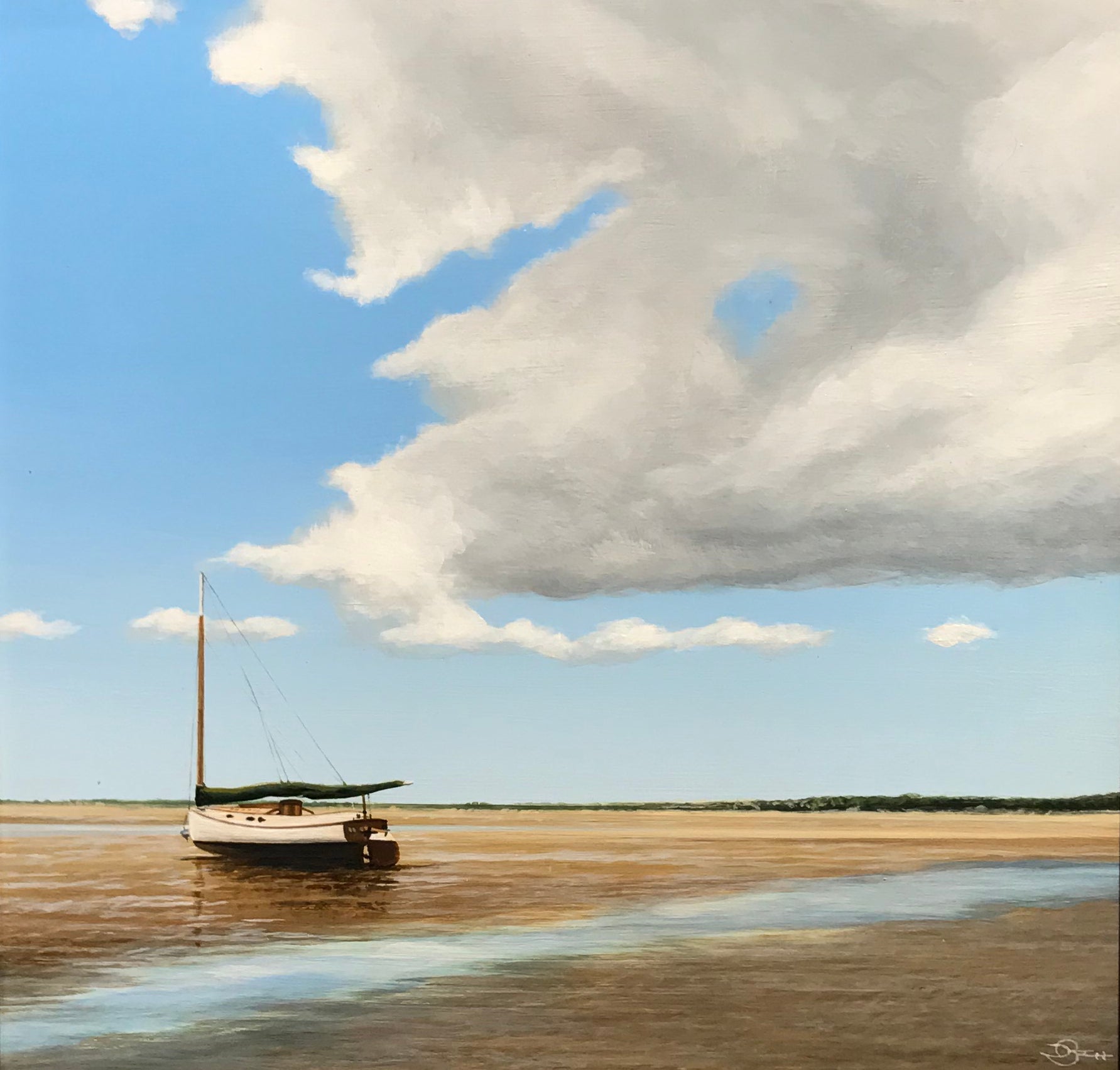 Low Tide Cat