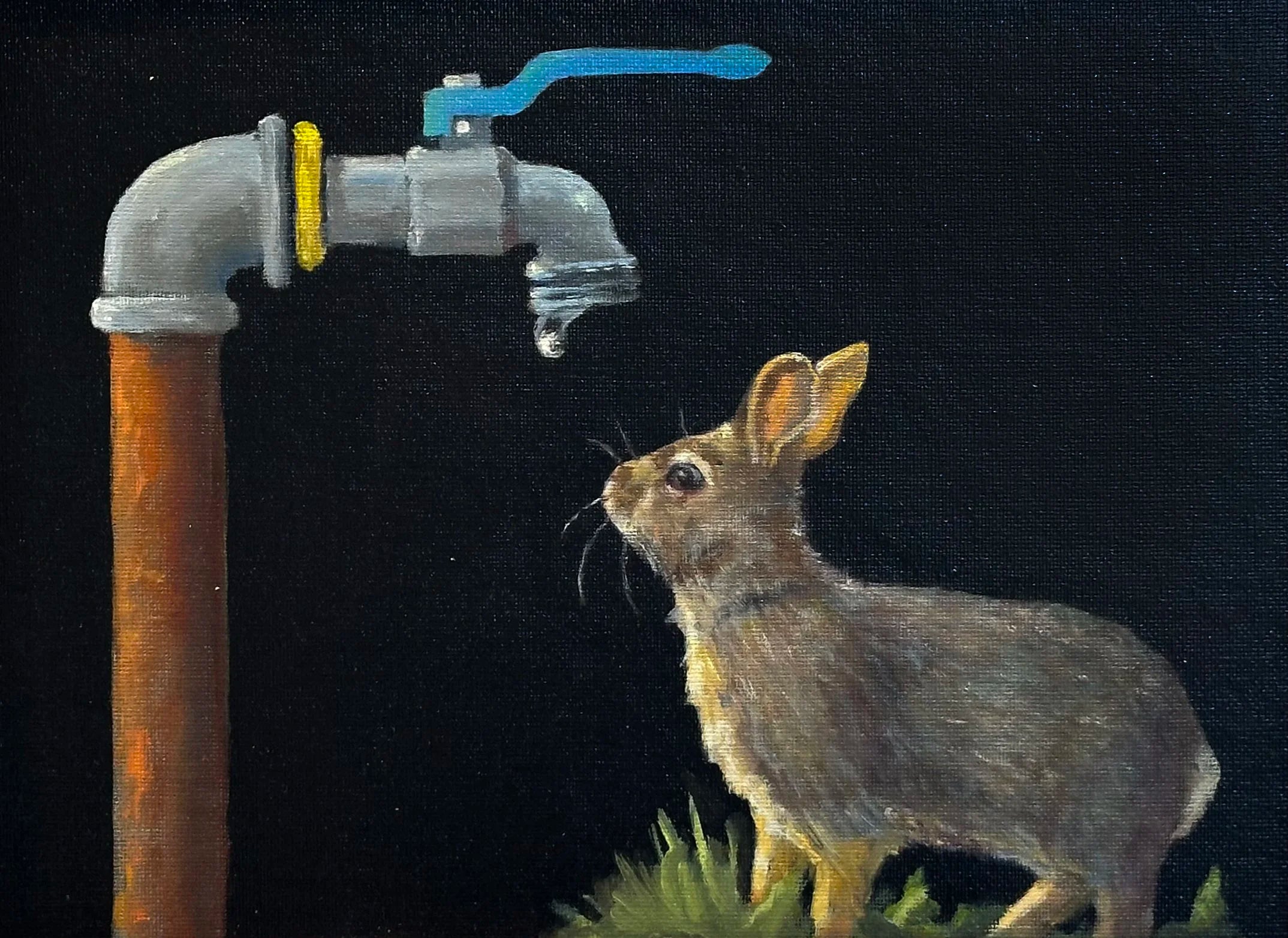 Mr. Bunny