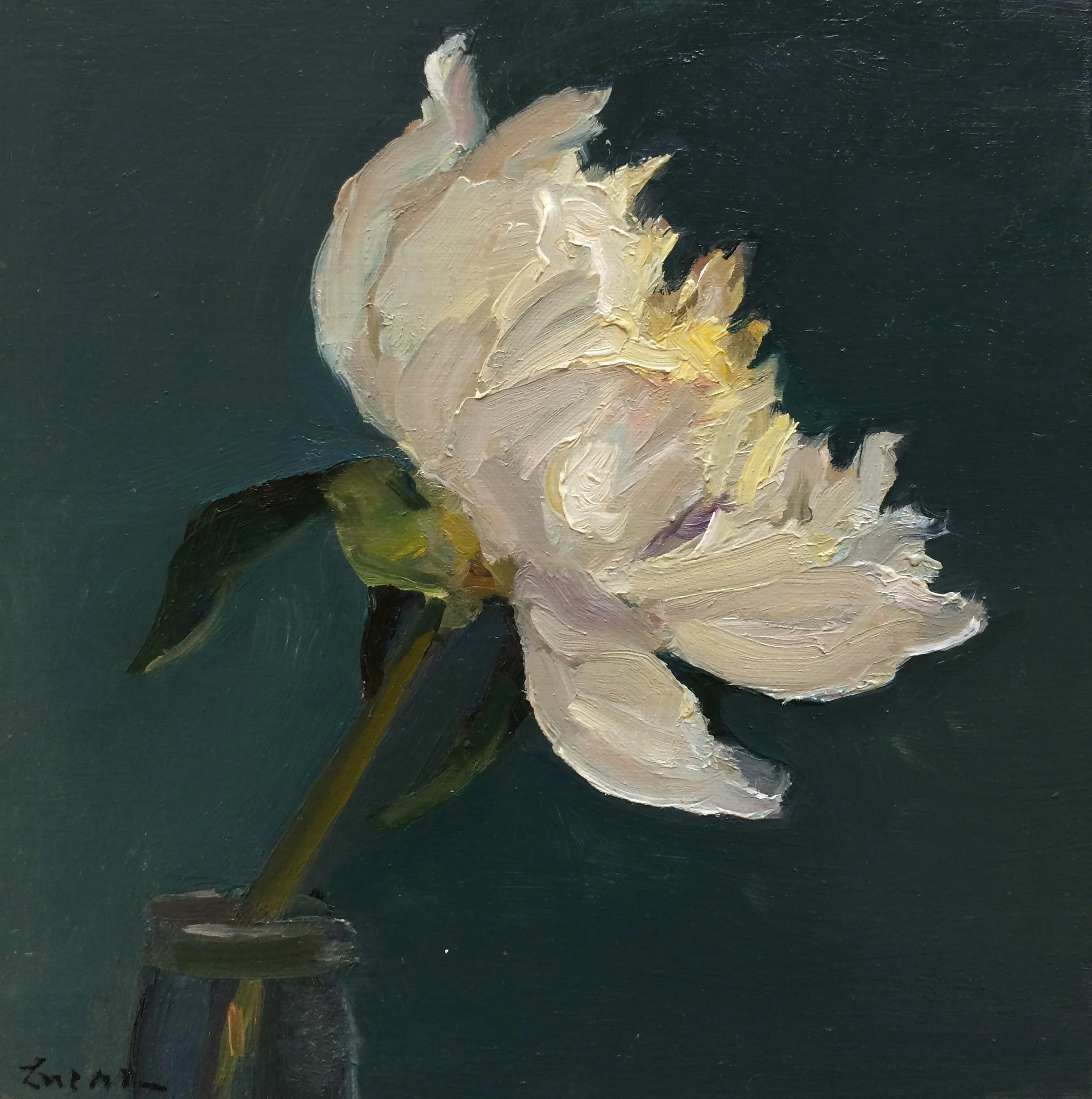 Peony in Profile