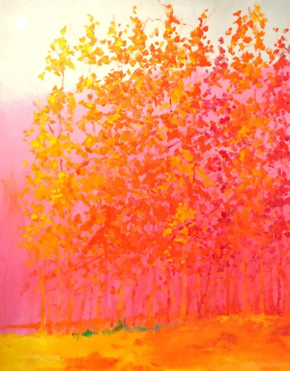 Pink Passion