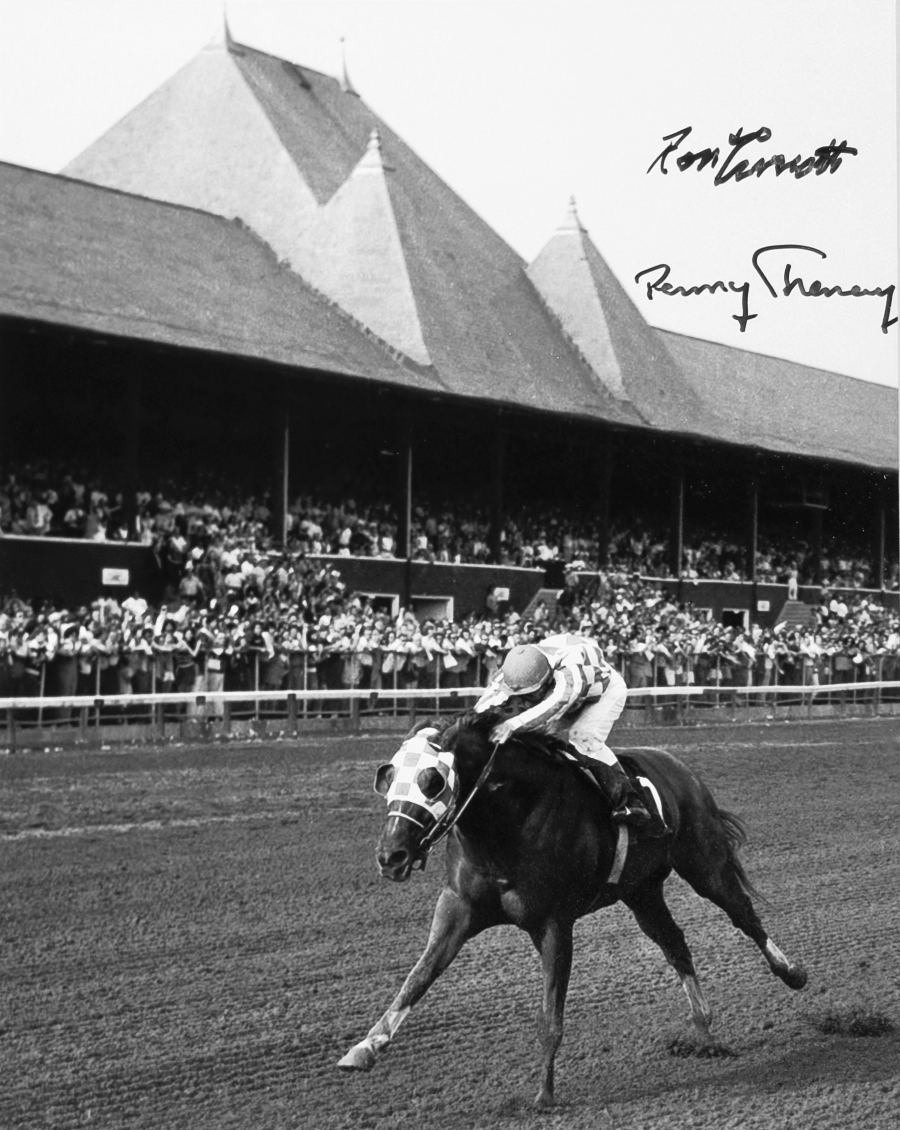Hopeful Stakes Stretch