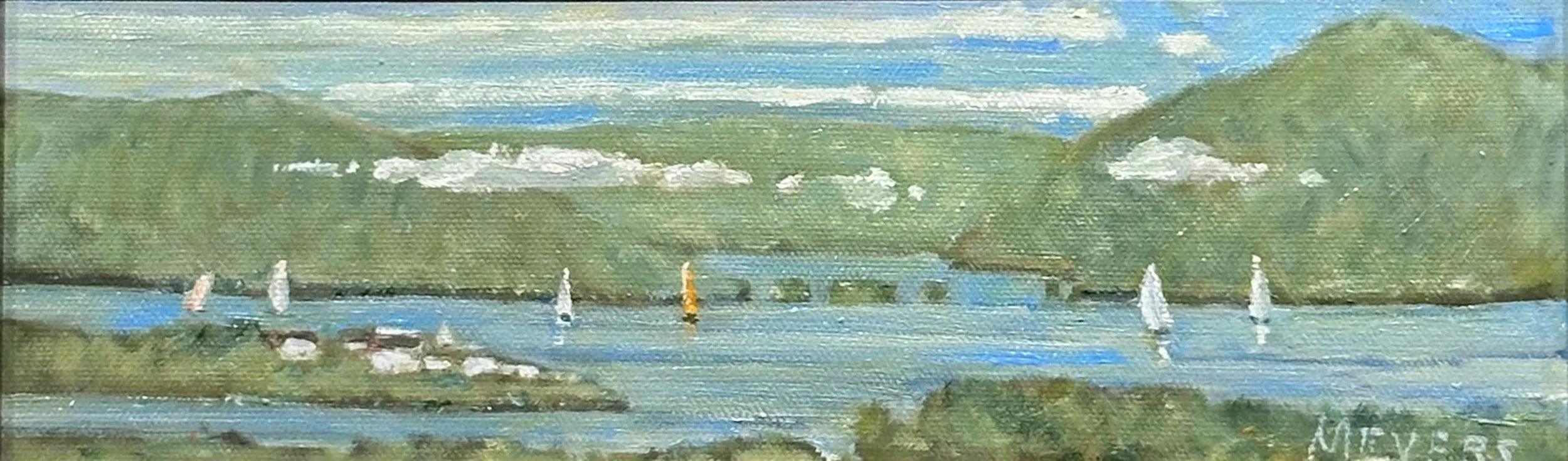 Sailing in Narrows