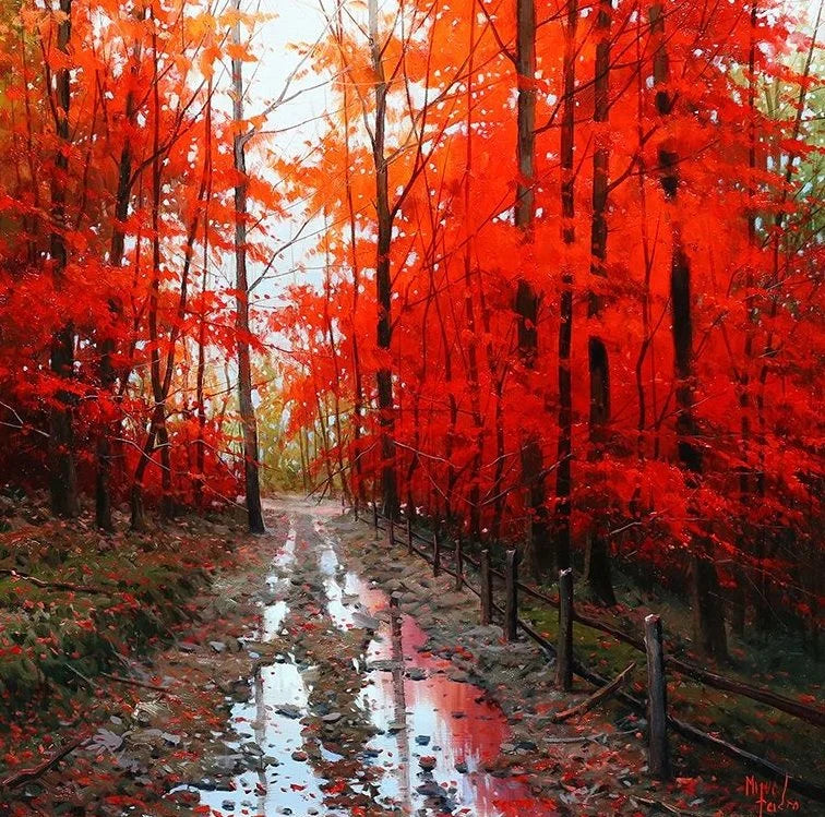 The Forest in Red