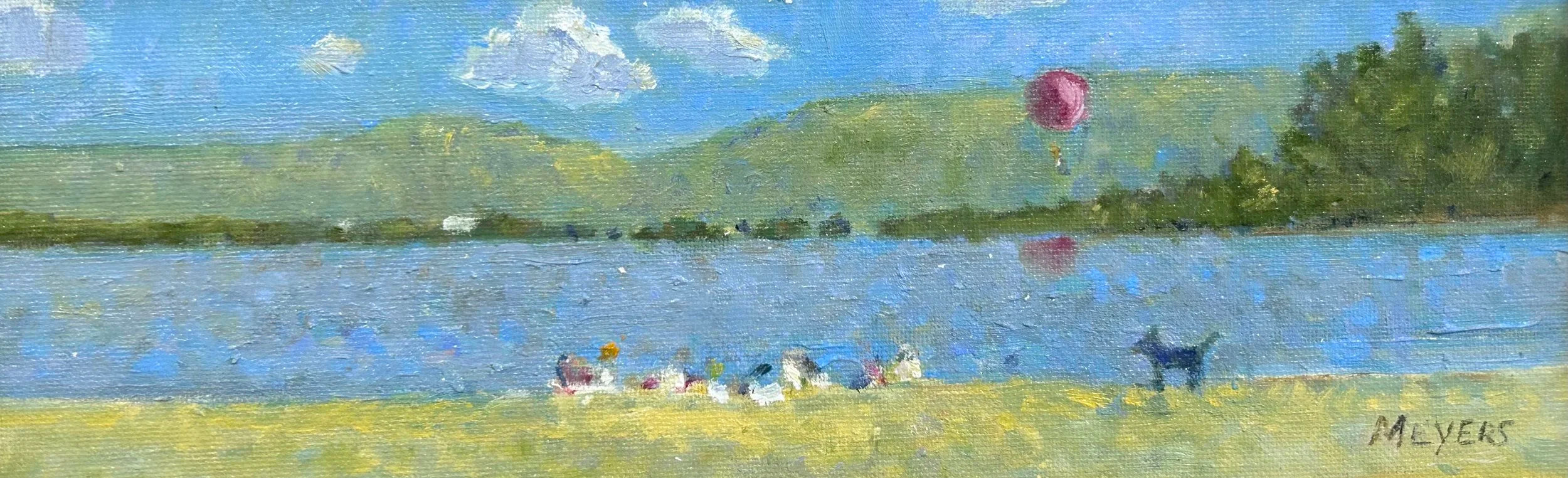 The Picnic