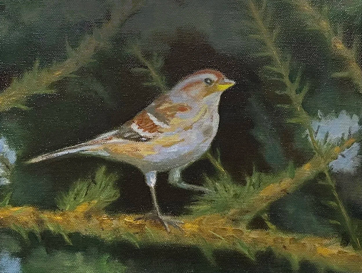 Tree Sparrow