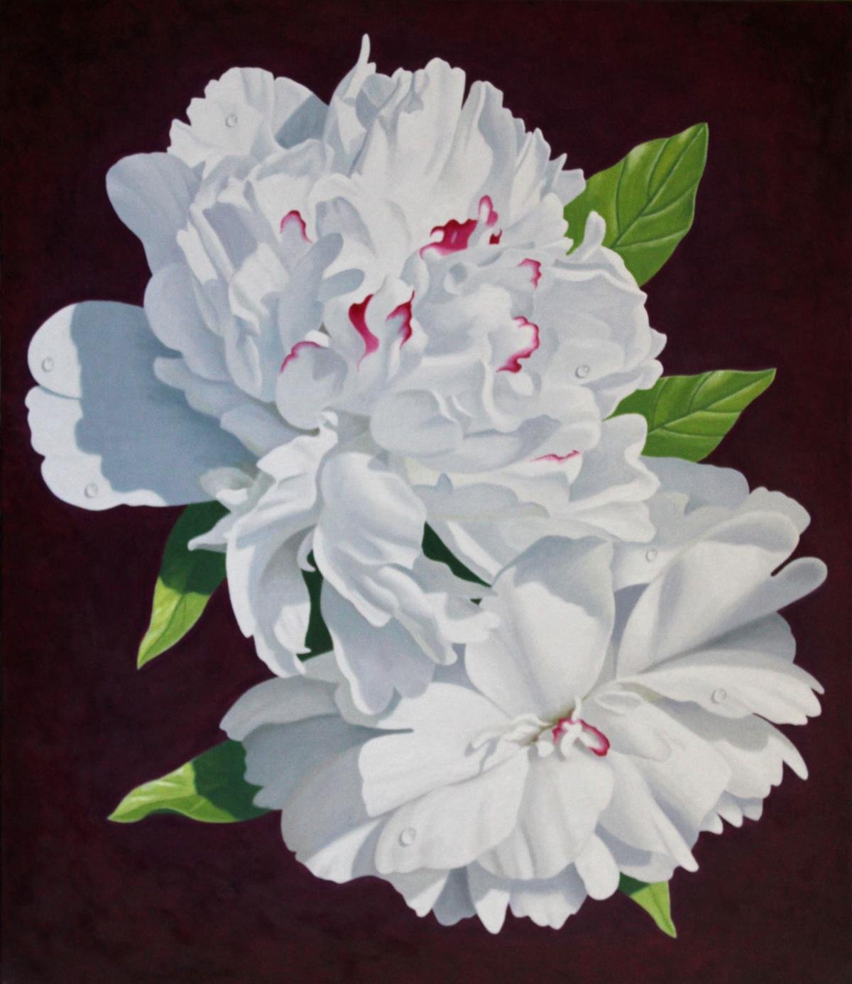 Pivoines blanches
