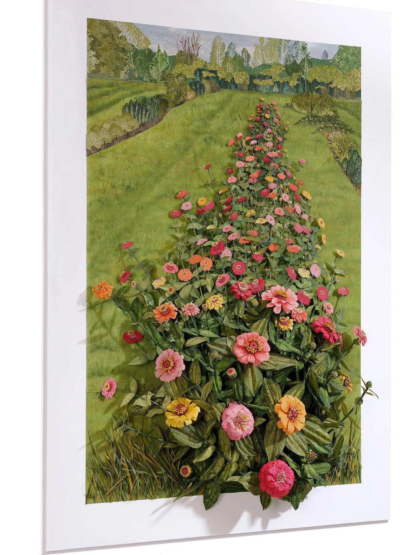 Zinnias