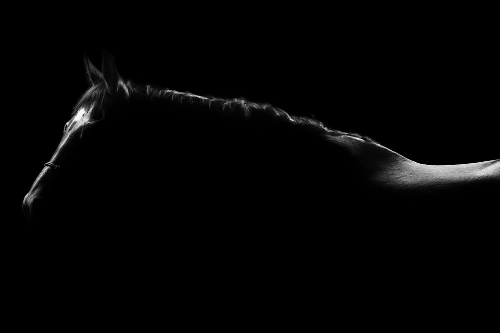 Silhouette