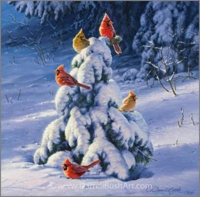 Winters Gift