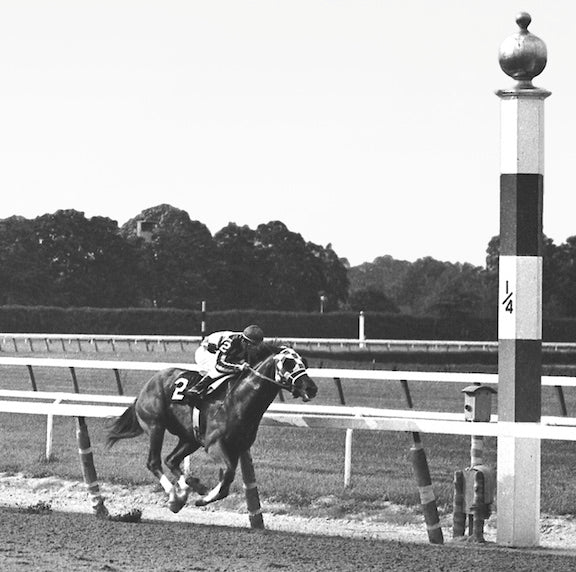Bob Coglianese