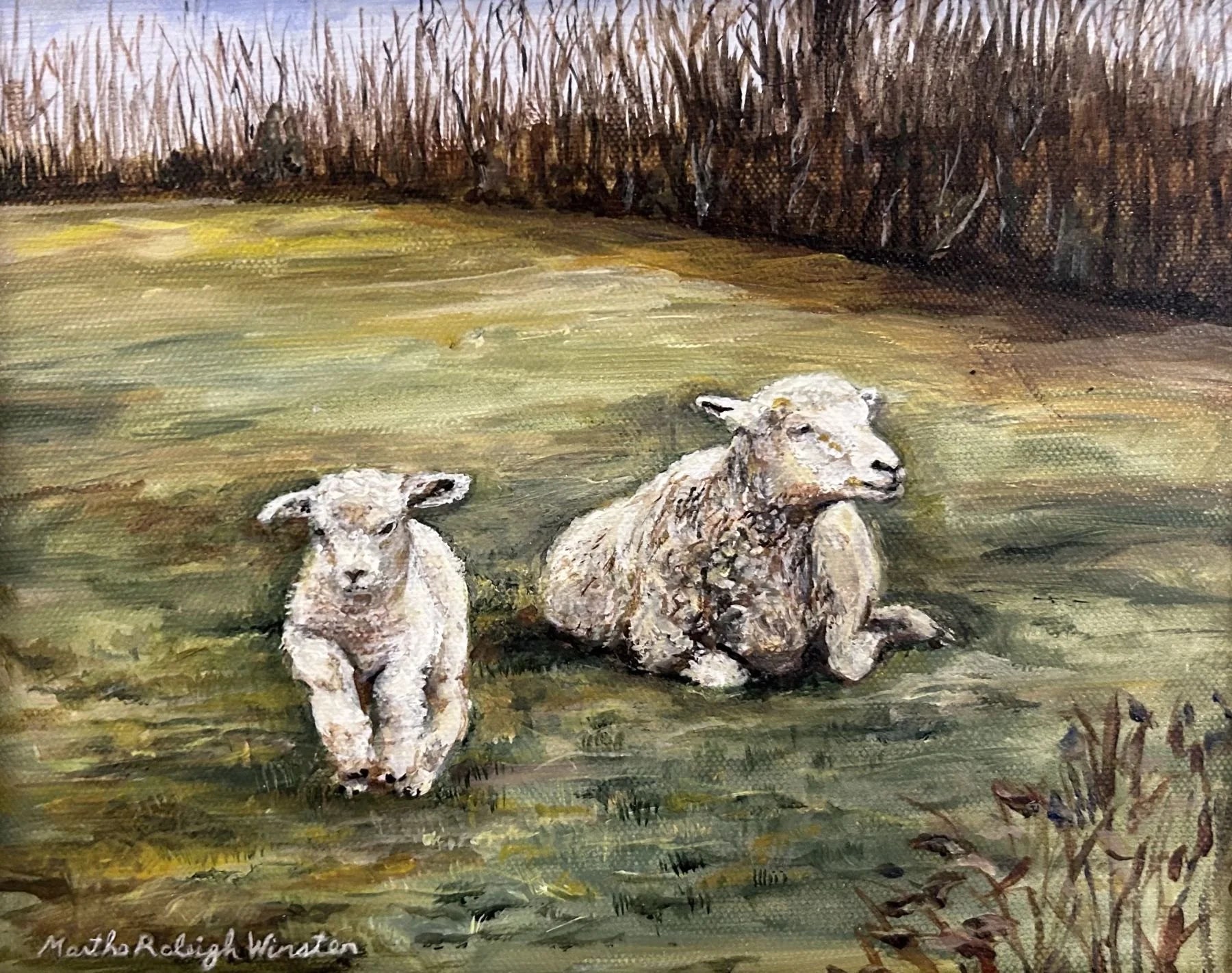 Crazy Legs Ewe and Bouncing Lamb
