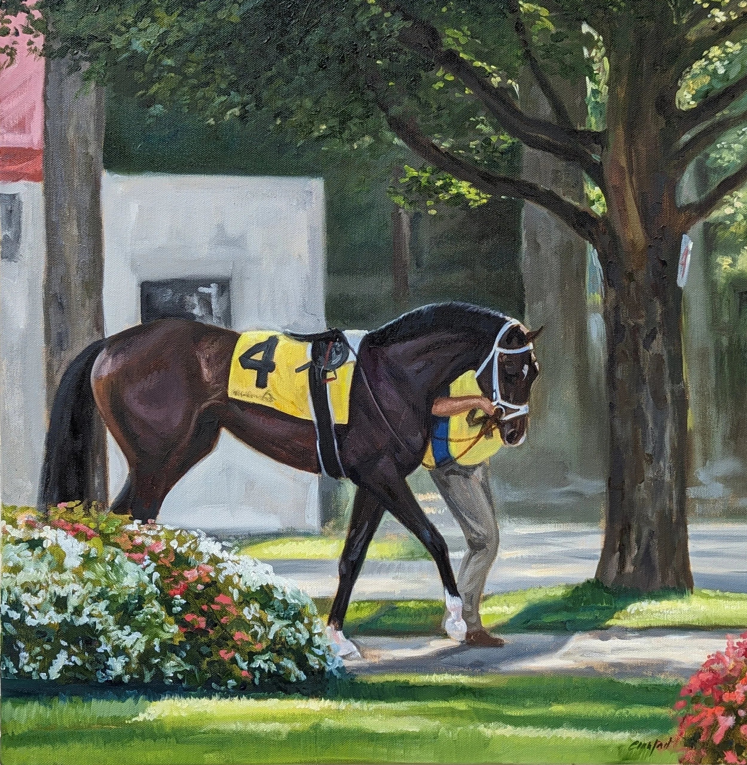 Sunlit Paddock