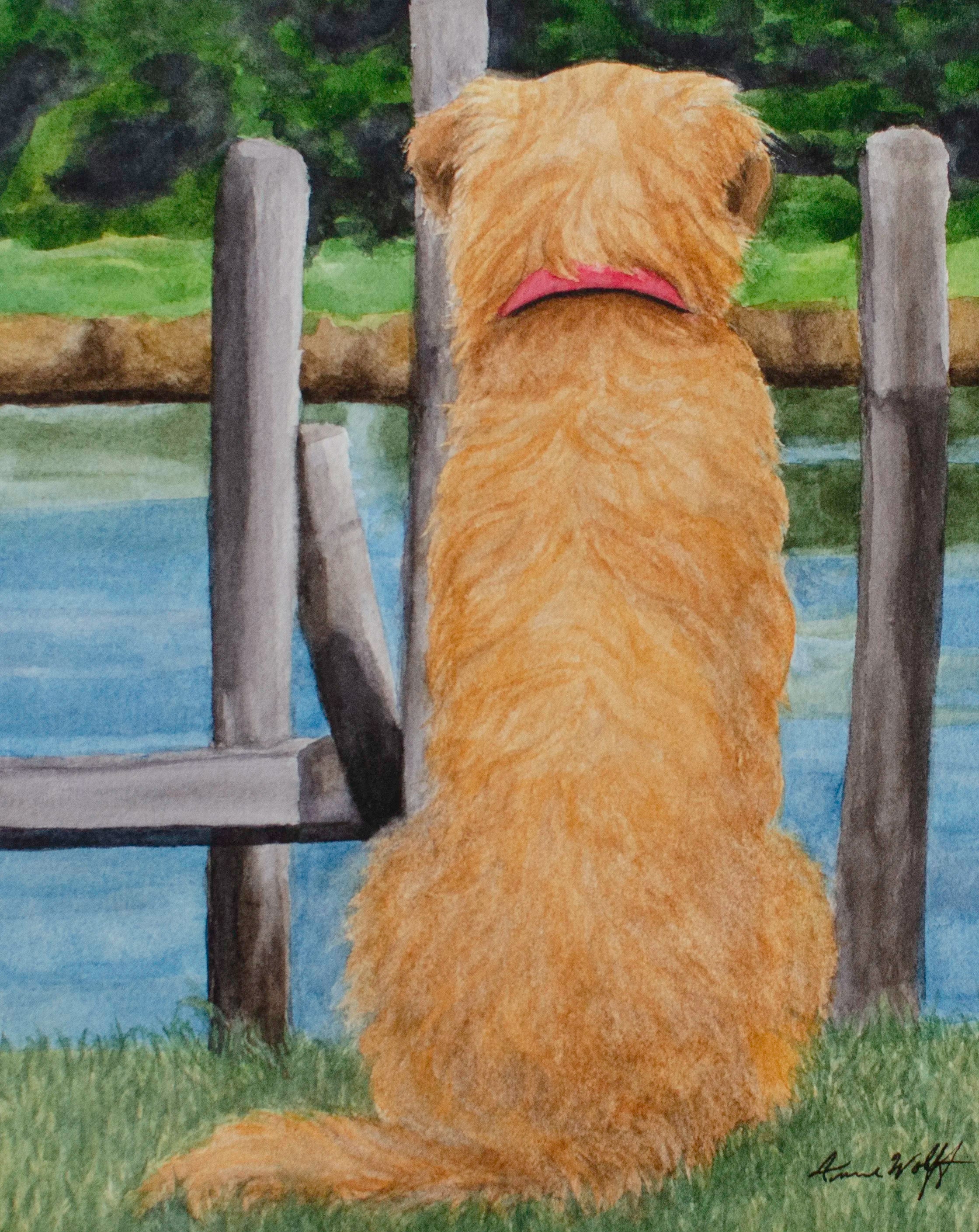 Fluffy Dog