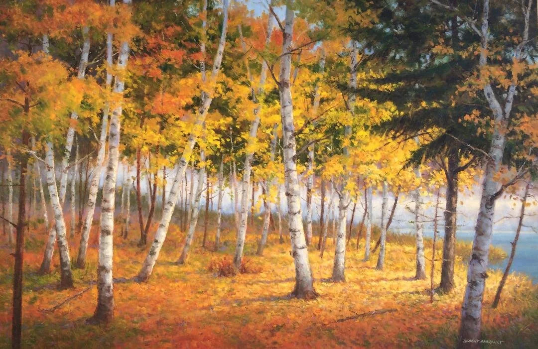 Birch Grove Morning
