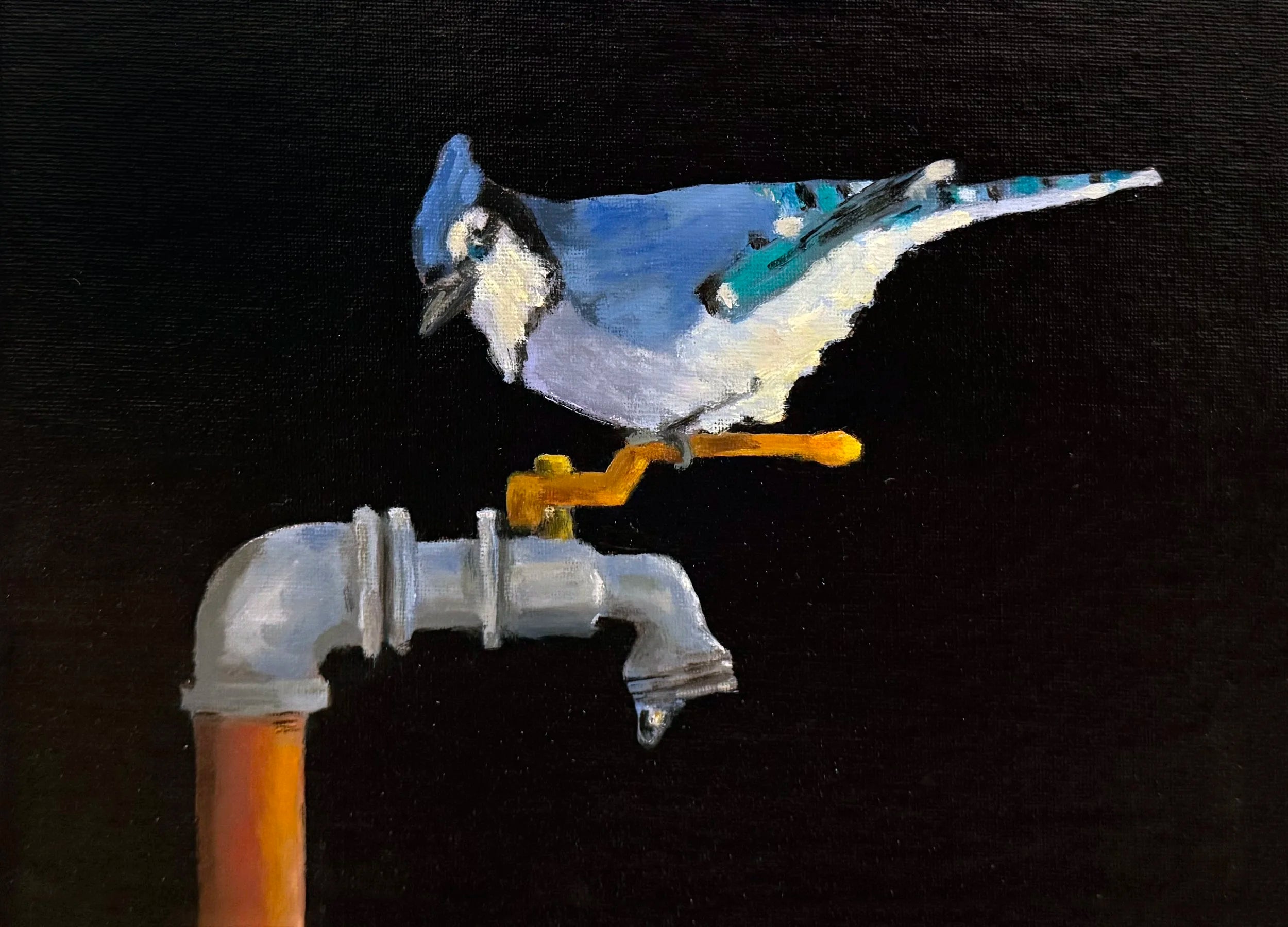 Blue and Orange