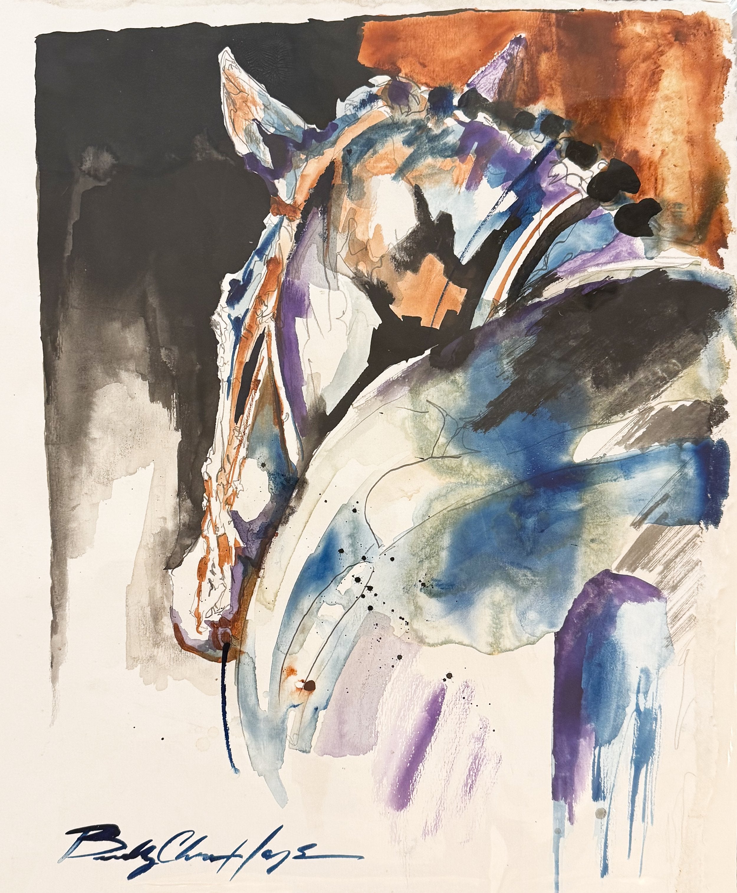 Braid and Bridle