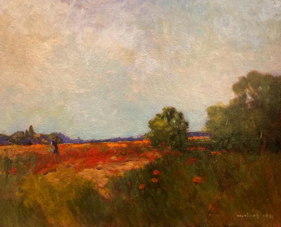 California Poppies