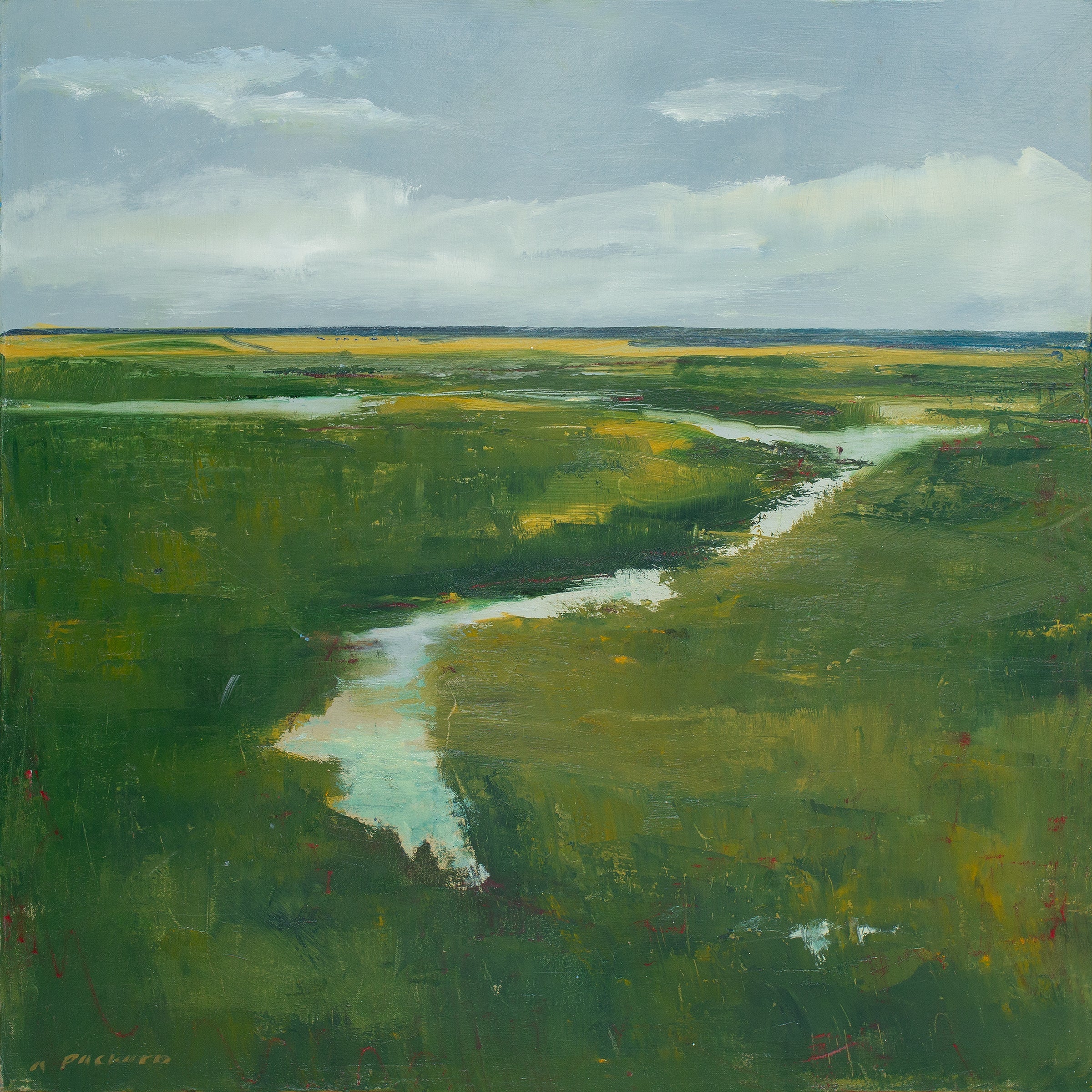 Cape Marsh