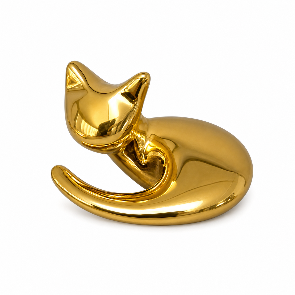 Curled Up Cat